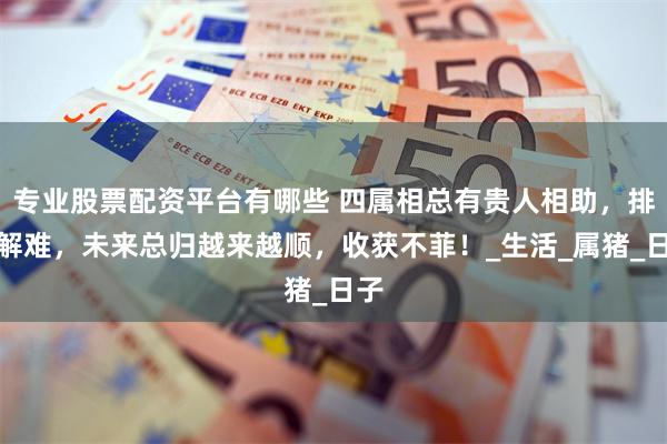 专业股票配资平台有哪些 四属相总有贵人相助，排忧解难，未来总归越来越顺，收获不菲！_生活_属猪_日子