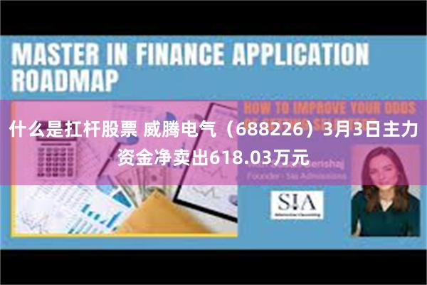 什么是扛杆股票 威腾电气（688226）3月3日主力资金净卖出618.03万元