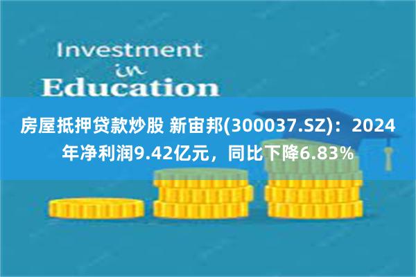 房屋抵押贷款炒股 新宙邦(300037.SZ)：2024年净利润9.42亿元，同比下降6.83%