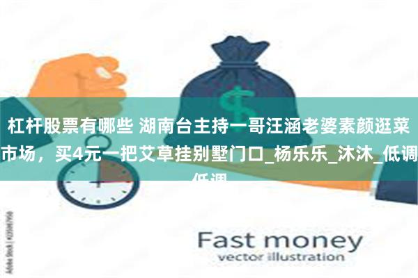 杠杆股票有哪些 湖南台主持一哥汪涵老婆素颜逛菜市场，买4元一把艾草挂别墅门口_杨乐乐_沐沐_低调