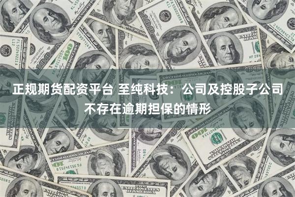 正规期货配资平台 至纯科技：公司及控股子公司不存在逾期担保的情形