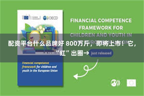 配资平台什么品牌好 800万斤，即将上市！它，“红”出圈→