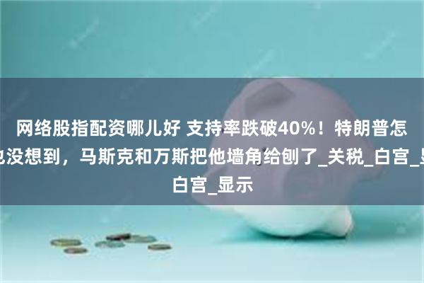 网络股指配资哪儿好 支持率跌破40%！特朗普怎么也没想到，马斯克和万斯把他墙角给刨了_关税_白宫_显示