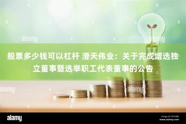 股票多少钱可以杠杆 澄天伟业：关于完成增选独立董事暨选举职工代表董事的公告